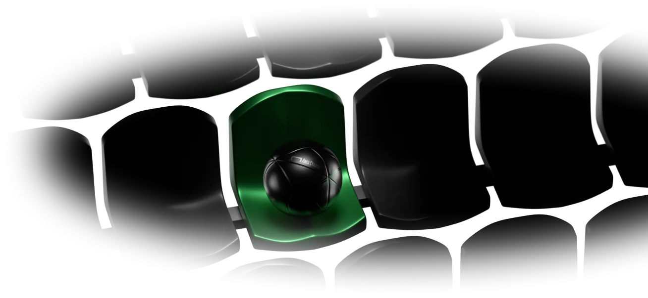 <span>VIP-ставки</span>