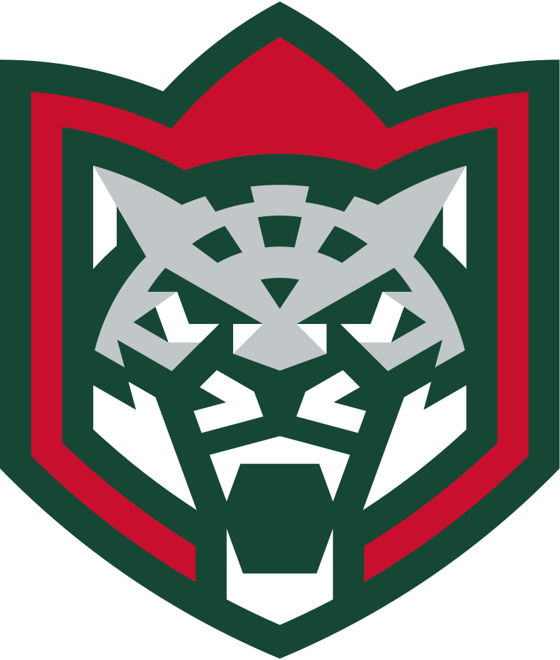 СКА — Ак барс